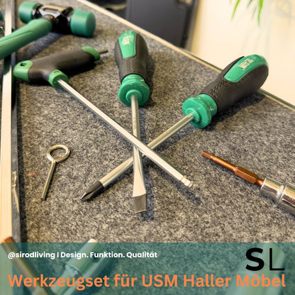 Professionelles Werkzeugset für USM Haller Möbel im Koffer